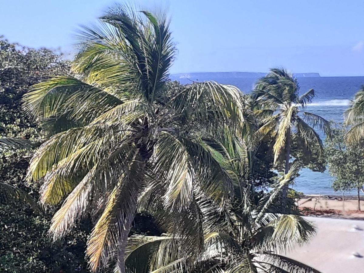 Studio Vue Sur Mer Le Moule Exteriör bild